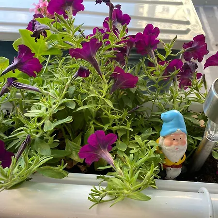 Iva Luxury Apartamento