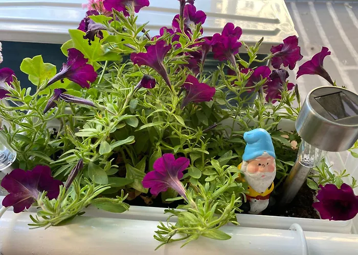 Iva Luxury Lejlighed